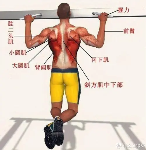 <strong>森林室内健身房怎么玩</strong>